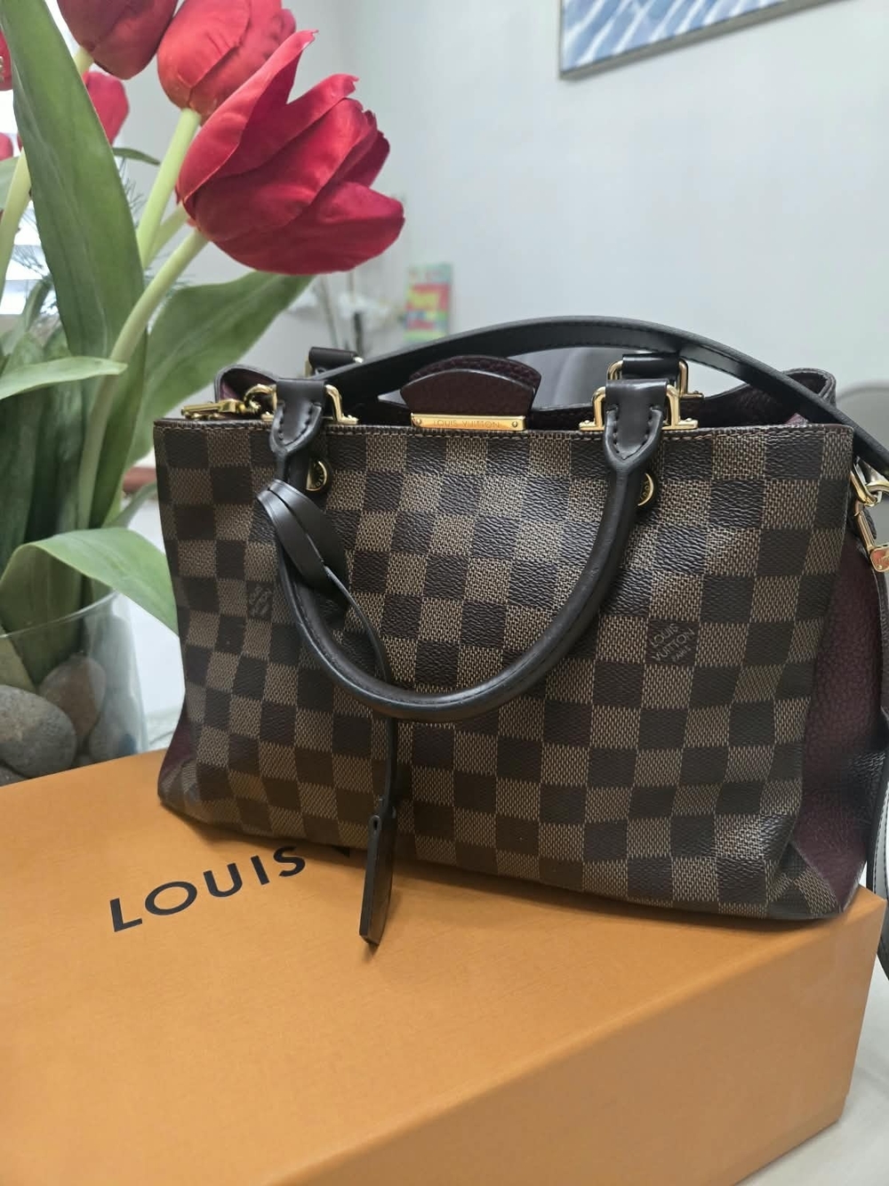 Louis Vuitton Brown Damier Leather Satchel